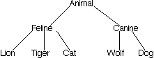 Animal hierarchy
