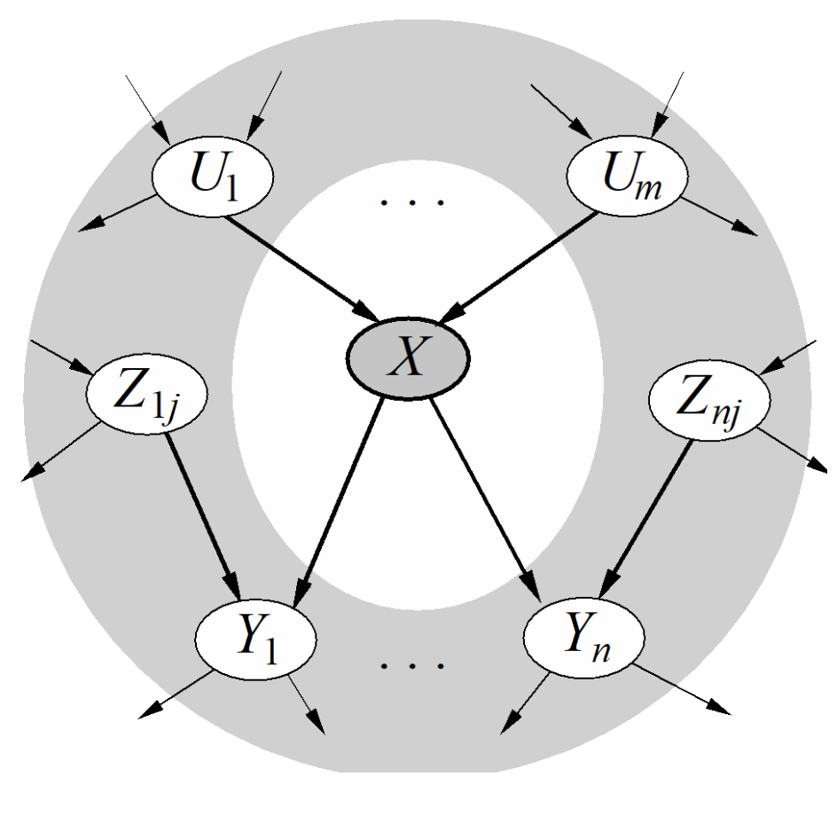 Markov Blanket