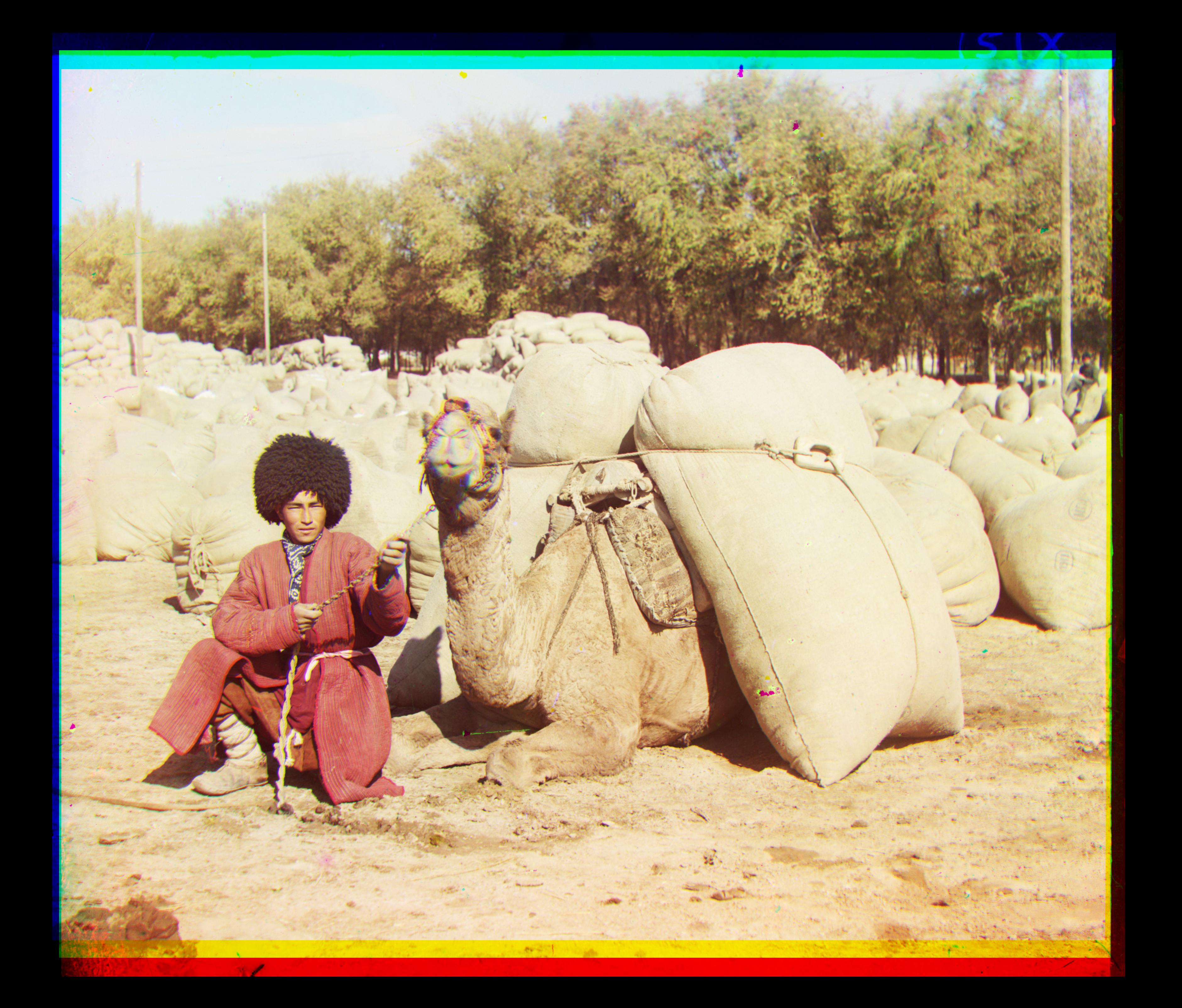 turkmen image