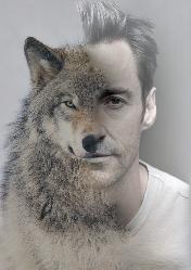 hughwolf_poisson