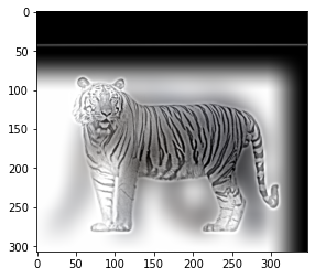 A black and white photo of a tiger

Description automatically generated with medium confidence