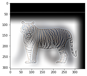A white tiger with black stripes

Description automatically generated with low confidence