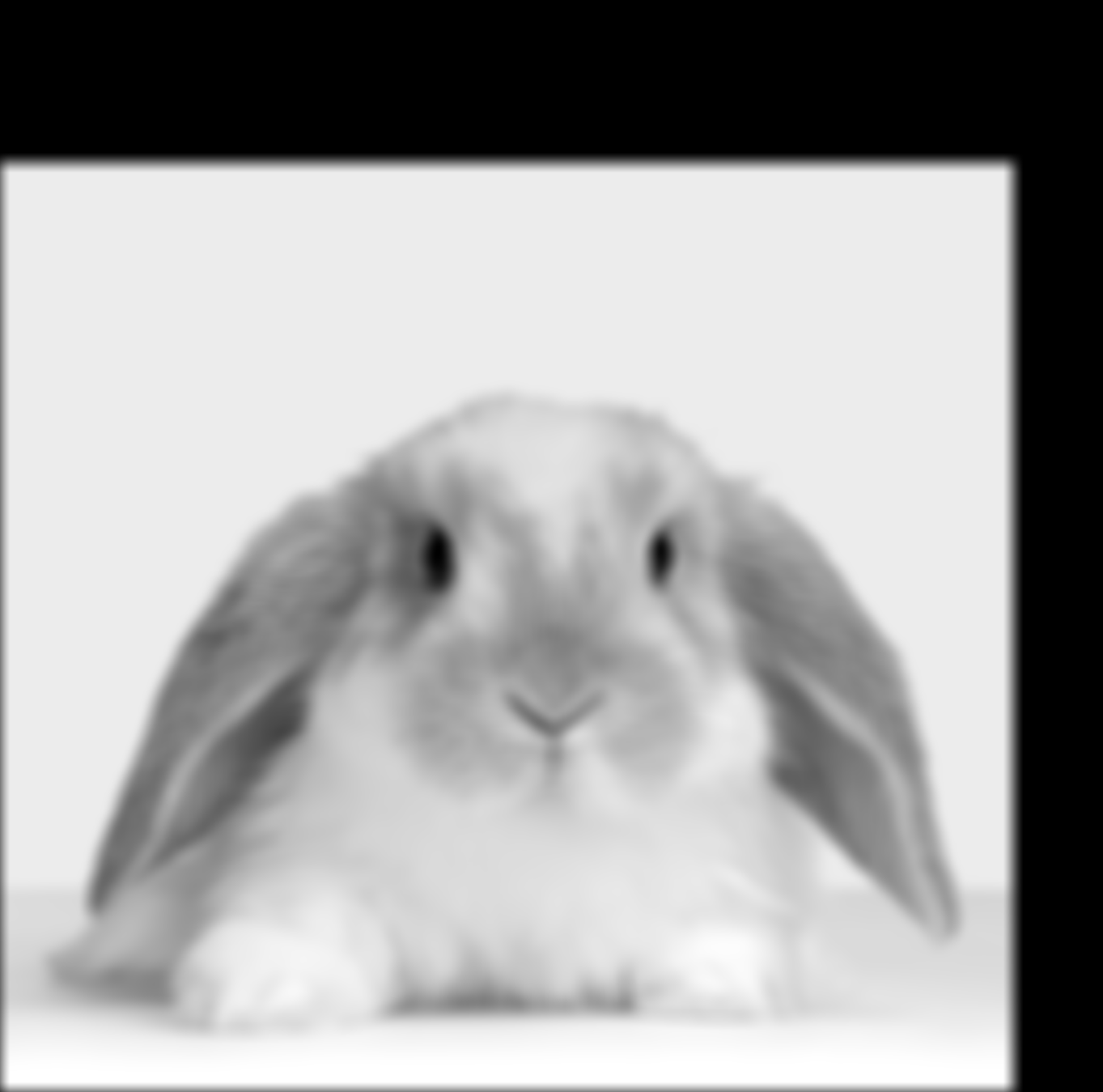 Low-Pass Filter Bunny