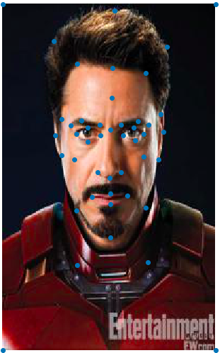 Tony Stark Keypoints