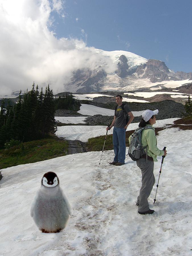 Penguin with hikers blended
