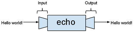 Echo visual